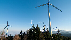 Windkraft im Wald Windkraft im Wald