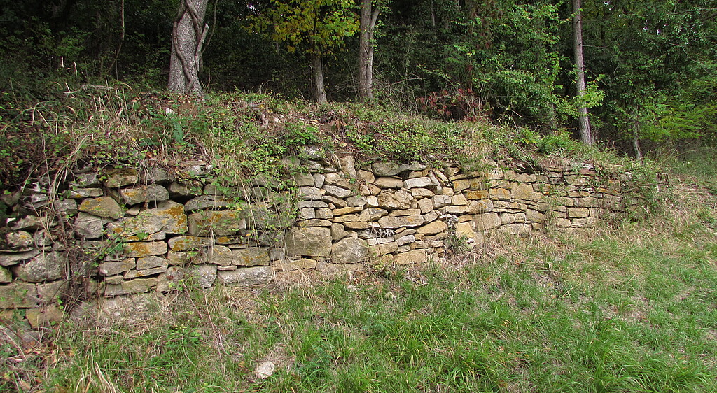 Freigestellte Trockenmauer im Naturschutzgebiet Innerberg