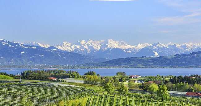Blick auf den Bodensee und die Schweizer Alpen
