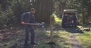 Ein Zaun wird errichtet für Heckenrinder im Wald